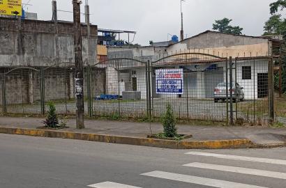 ZOFIN - MARIO BENALCAZAR