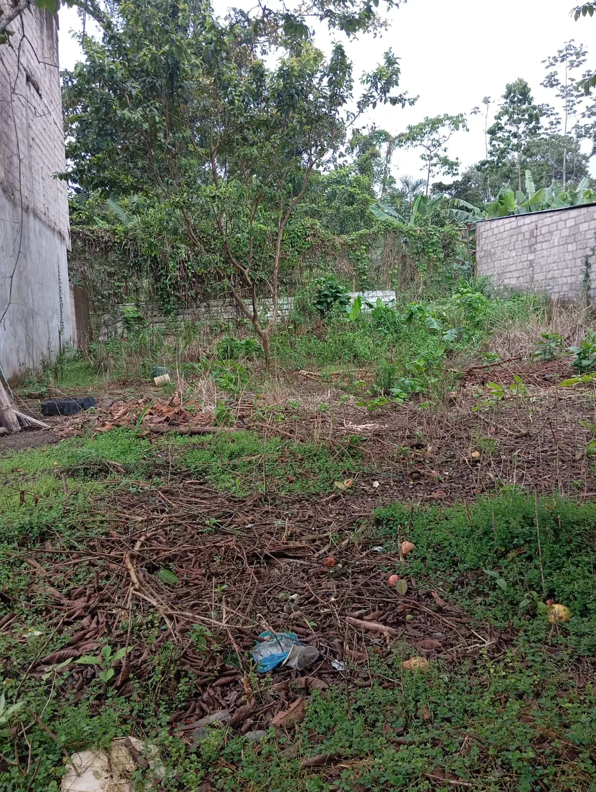 VENTA DE TERRENO SANTO DOMINGO ZOFIN MARIO BENALCAZAR