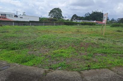 ZOFIN - MARIO BENALCAZAR