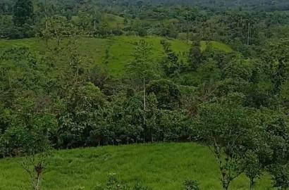 FINCA EN VENTA SANTO DOMINGO VIA A PUERTO LIMÓN