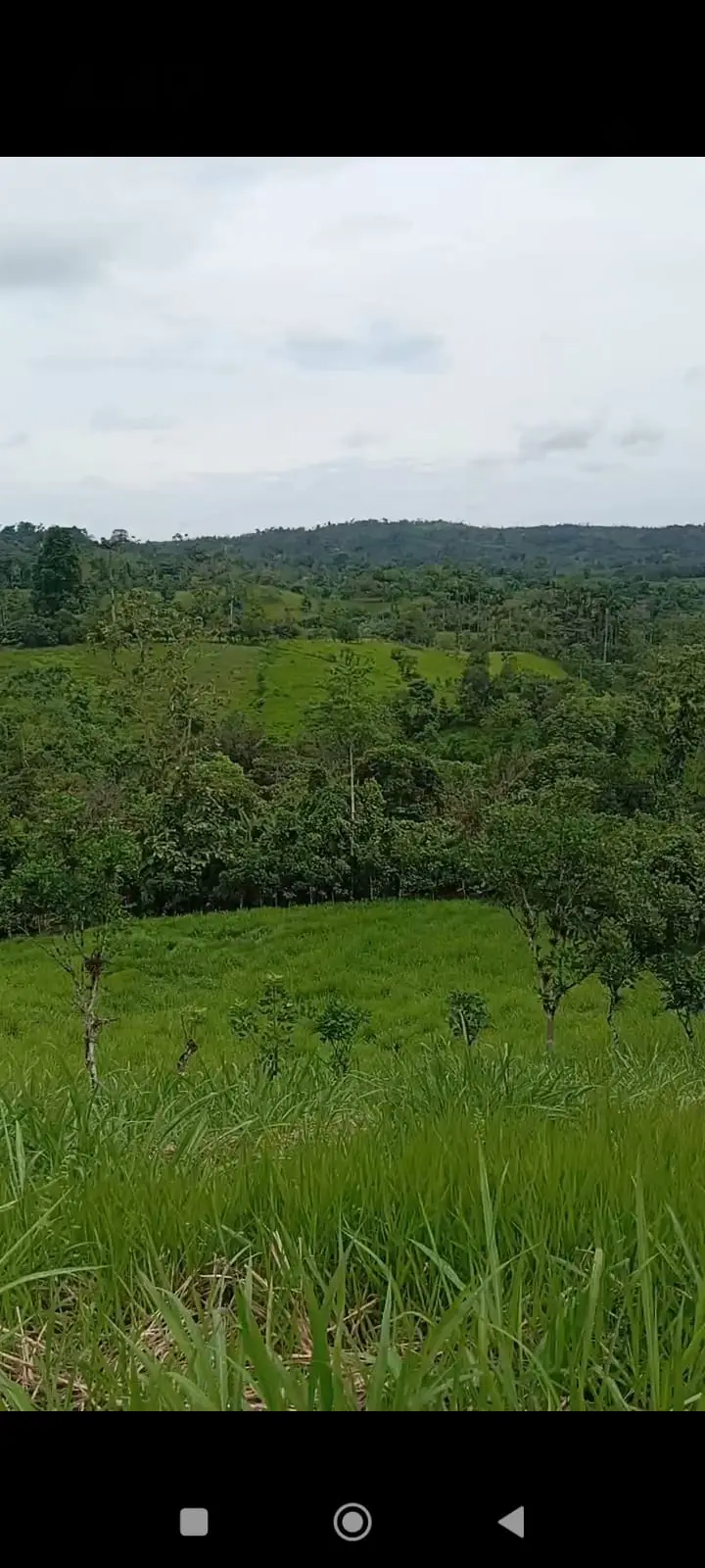 FINCA EN VENTA SANTO DOMINGO VIA A PUERTO LIMÓN